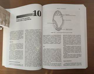 ALIMENTACION Y DIETOTERAPIA