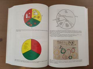 ALIMENTACION Y DIETOTERAPIA