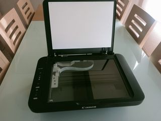 Impresora Canon Pixma MG2550S