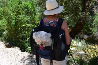 Mochila Trixie transporte mascotas 8kg