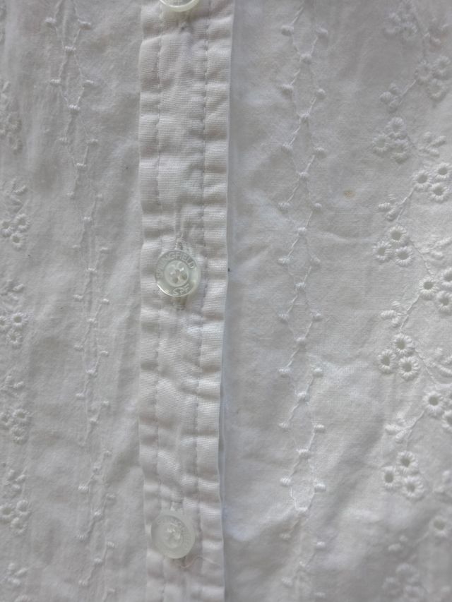 Blusa blanca algodon bordada Zara