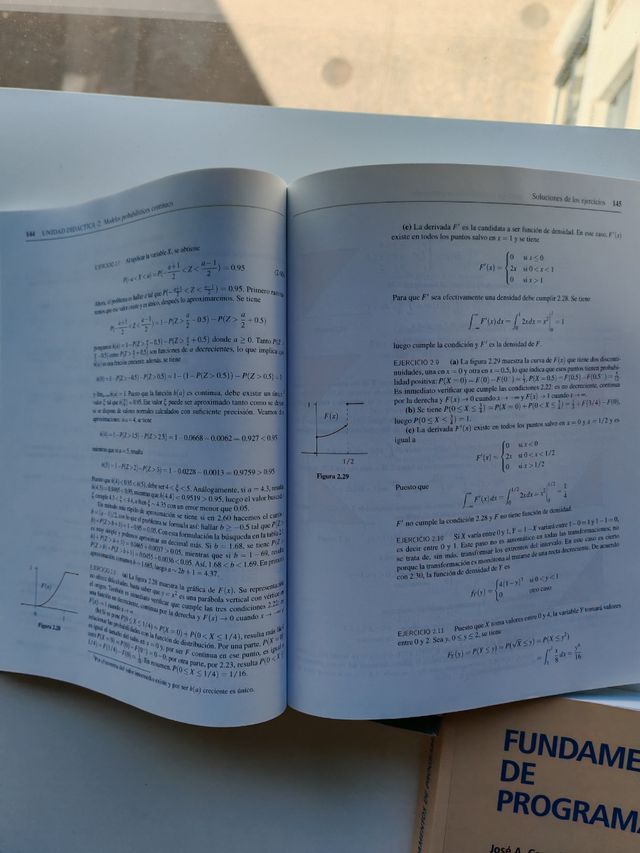 Modelos probabilísticos y optimización.