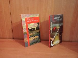1 € Libros juveniles