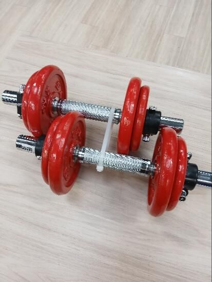 Kit mancuernas Salter