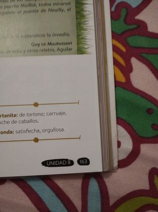 Lengua Castellana y Literatura 2º ESO. Libro de...