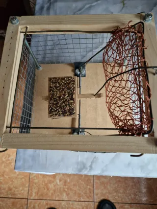 Jaulas para pájaros