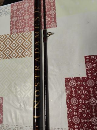 Caña Vega Nostradamus 3,90m 2 tramos