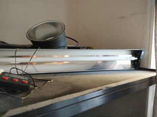 Terrario camaleón - Negro y blanco