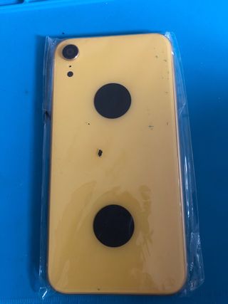 Custodia posteriore iPhone XR gialla
