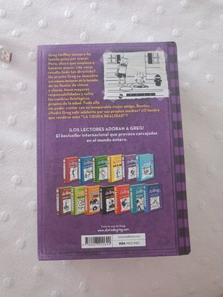 Diario de Greg 5 - La cruda realidad