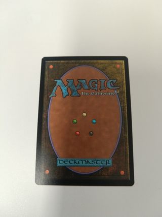 Magic: Sheltered by Ghosts