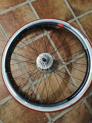 Rueda bici + Cubierta
