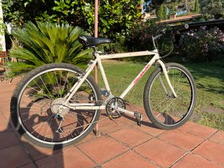 Specialized Stumpjumper MTB Vintage