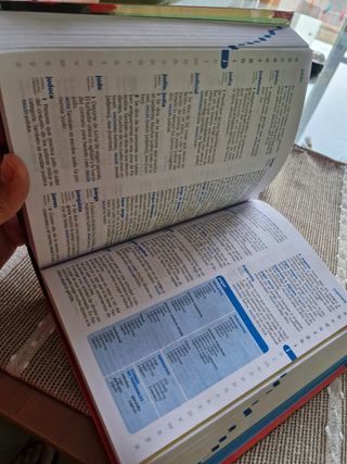 Diccionario de Primaria (Spanish Edition)