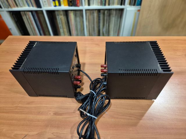 Etapas de potencia monofónicas Rotel RMB-100