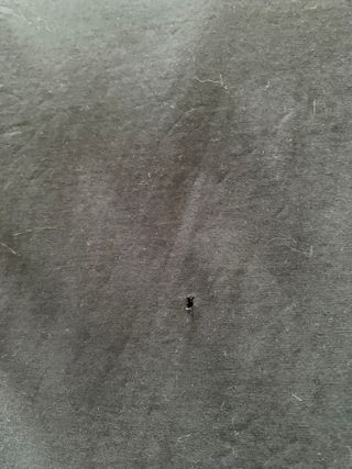 Camiseta Philipp Plein Hombre Talla XL