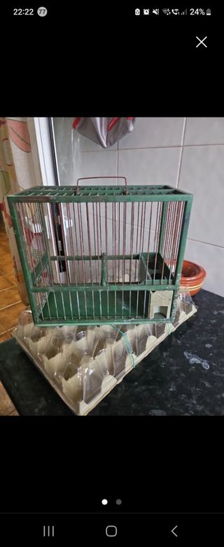 Jaula pajaros verde