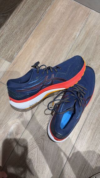 Zapatillas Asics Gel-Kayano 29
