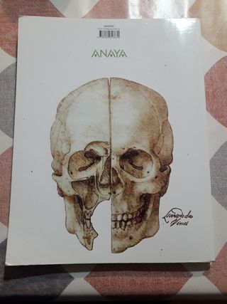 Anatomía Aplicada.