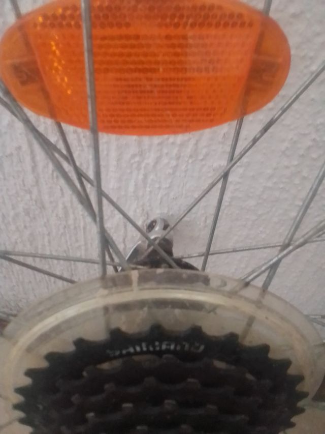 Cerchio posteriore per bicicletta con diametro di 57 cm e ruota