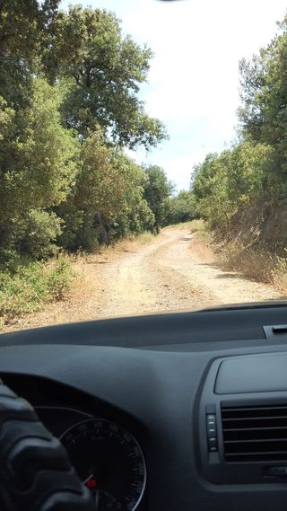 Viajes ocasionales Tarragona -Oliva(ida-vuelta)