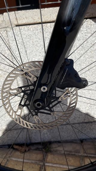 Trek Checkpoint-Ruedas TOP Campagnolo Levante carb