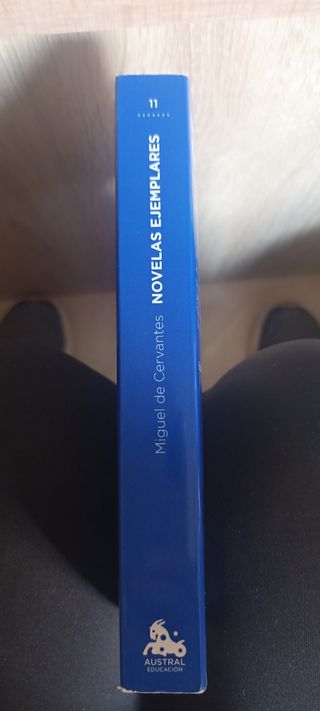 Novelas ejemplares