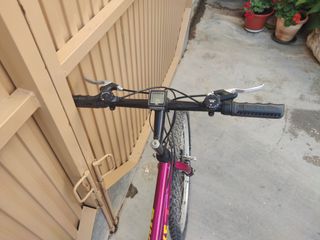 Bicicleta montaña vintage