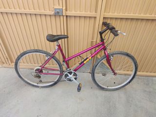 Bicicleta montaña vintage