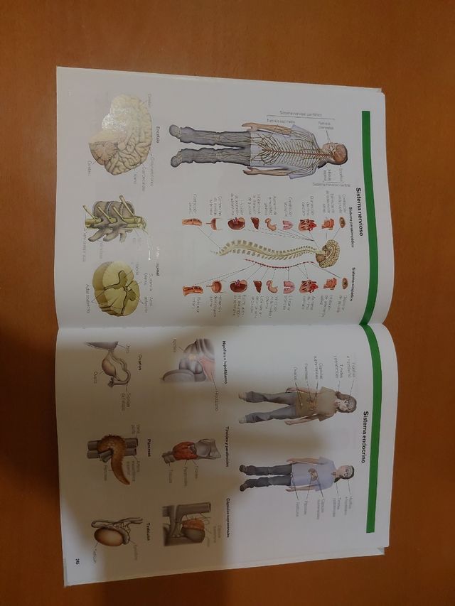 3ESO. Biología y Geología.
SOLO Volumen 4. Anexo.