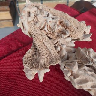 Cristo Barro - Escultura Religiosa