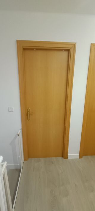 3 PUERTAS DE INTERIOR ABATIBLES CON TODO. 