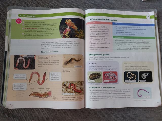 BIOLOGIA Y GEOLOGIA C-Leon 1ESO CONSTRUYENDO MU...