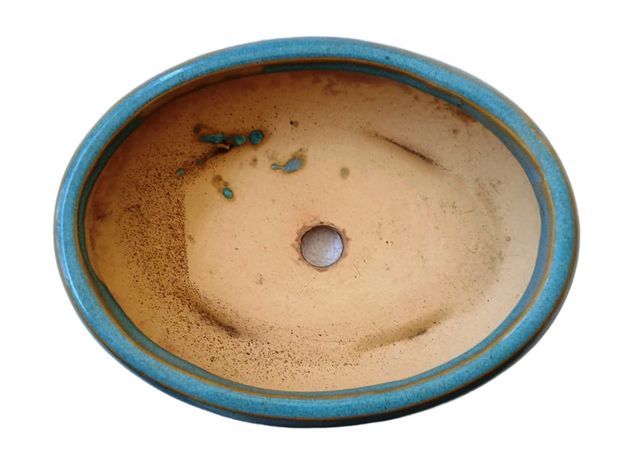 Bonsai-Maceta Ovalada Semihonda Esmaltada en Azul