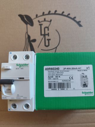 2 Interruptores Diferenciales Schneider 40A 2x40