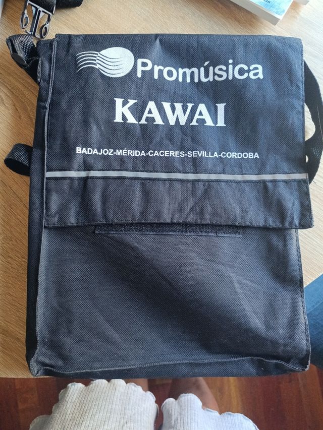 Libros Música Ritmico y Melódico Se regala bolsa.