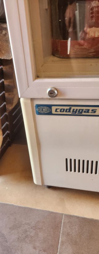 Nevera expositora bebidas Codigas