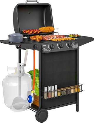 Barbecue a Gas in Acciaio, BBQ a Gas a 4 Bruciator