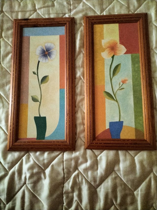 2 Cuadros Decorativos - Flores