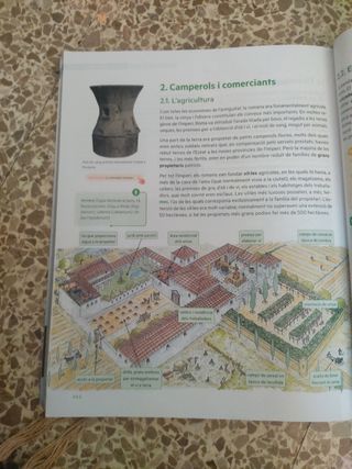 Octant 1. Geografia i Història 1 ESO