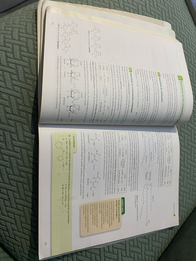 Libro Fisica y quimica 1°Bachillerato. SANTILLANA