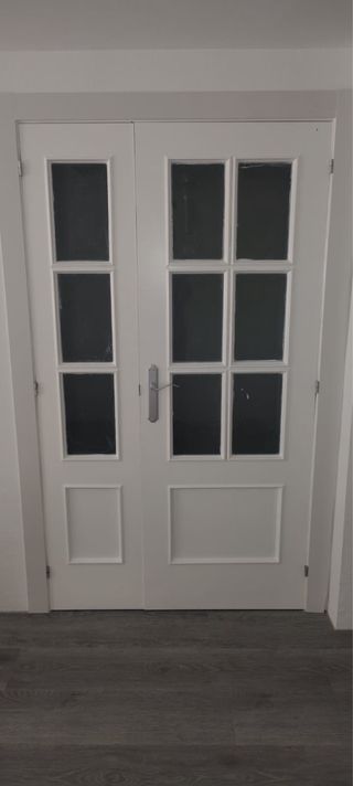 Puerta doble cristal madera maciza