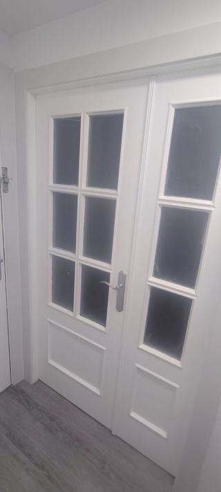 Puerta doble cristal madera maciza