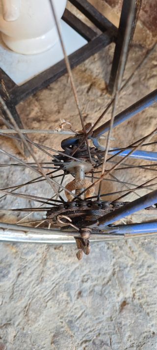 Bicicleta GAC Antigua