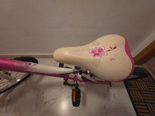 Bicicleta niña 20" JL-Wenti