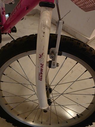 Bicicleta niña 20" JL-Wenti
