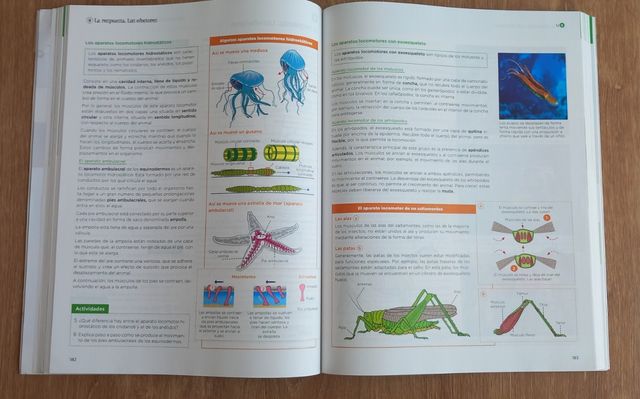 Biología, Geología y Ciencias Ambientales 1.