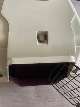 Transportín Perro Beige-Morado