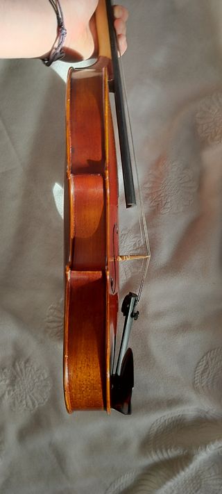 Violín 4/4 y estuche duro