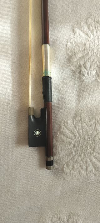 Violín 4/4 y estuche duro